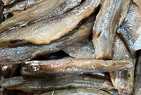 Спинка корюшки 