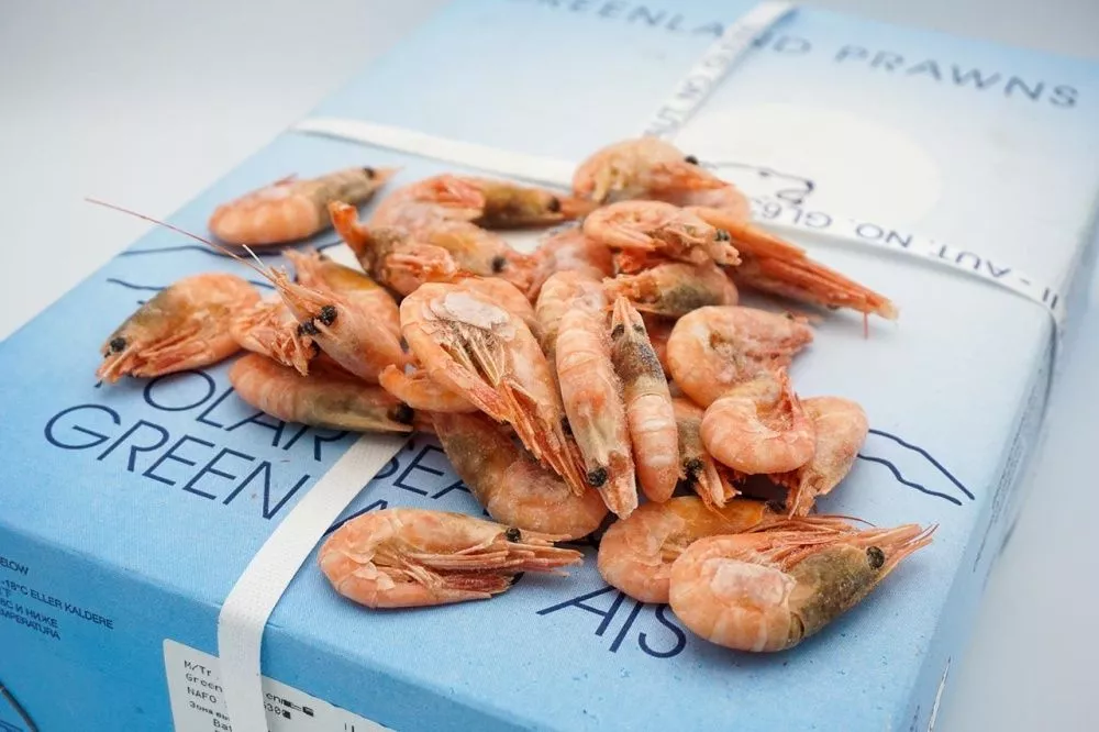 Продукты заморозки